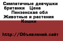 Симпатичные девчушки британки › Цена ­ 1 000 - Пензенская обл. Животные и растения » Кошки   